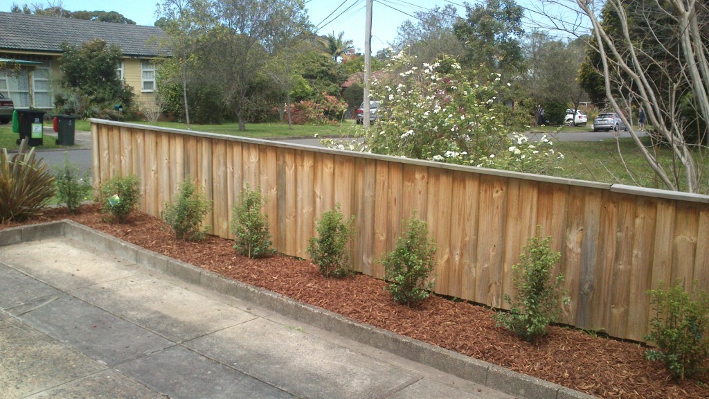 landscaped garden in belrose