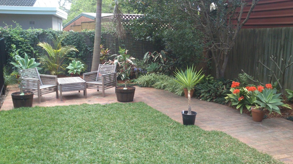 Landscaped garden in belrose landscaping northern beaches