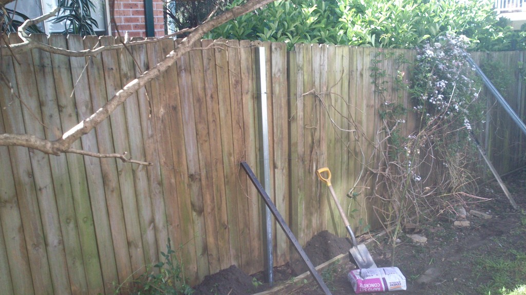 Courtyard Garden in Brookvale